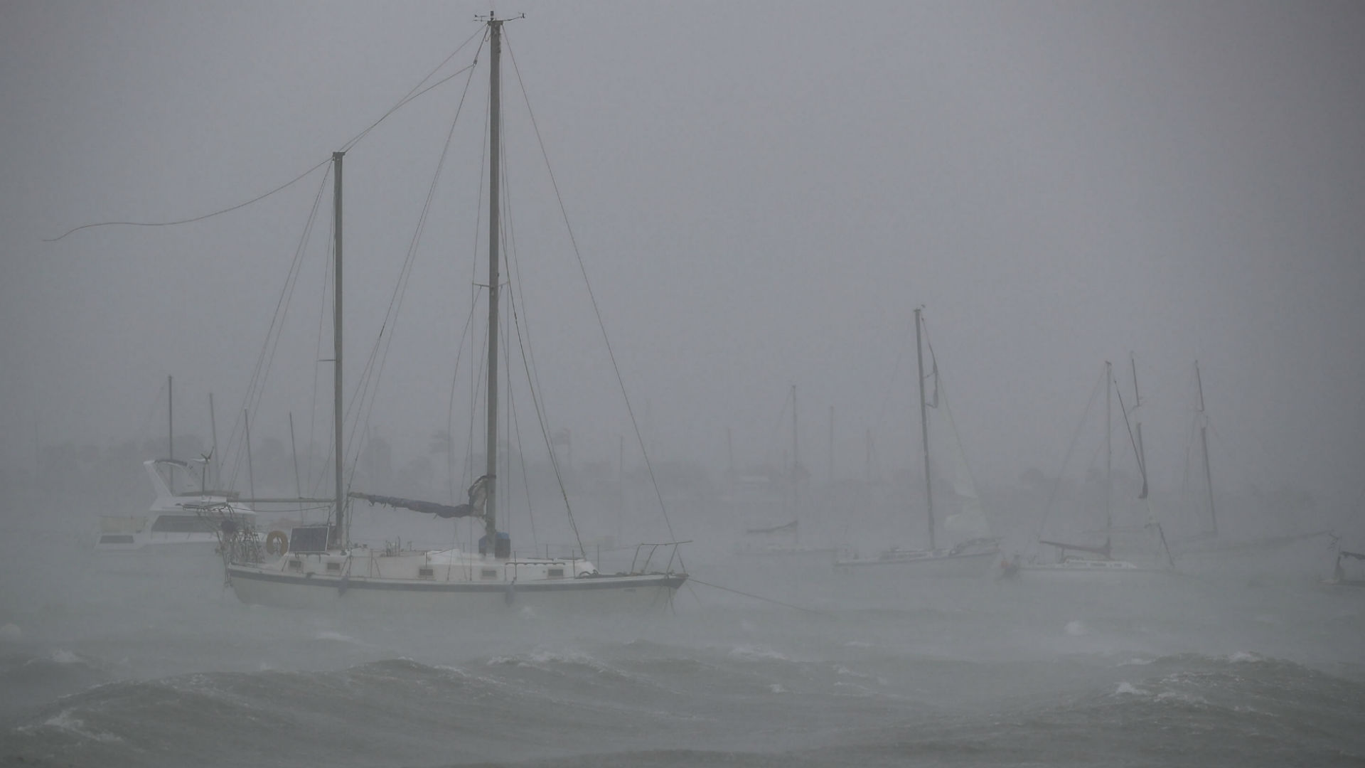 Irma en Miami 5