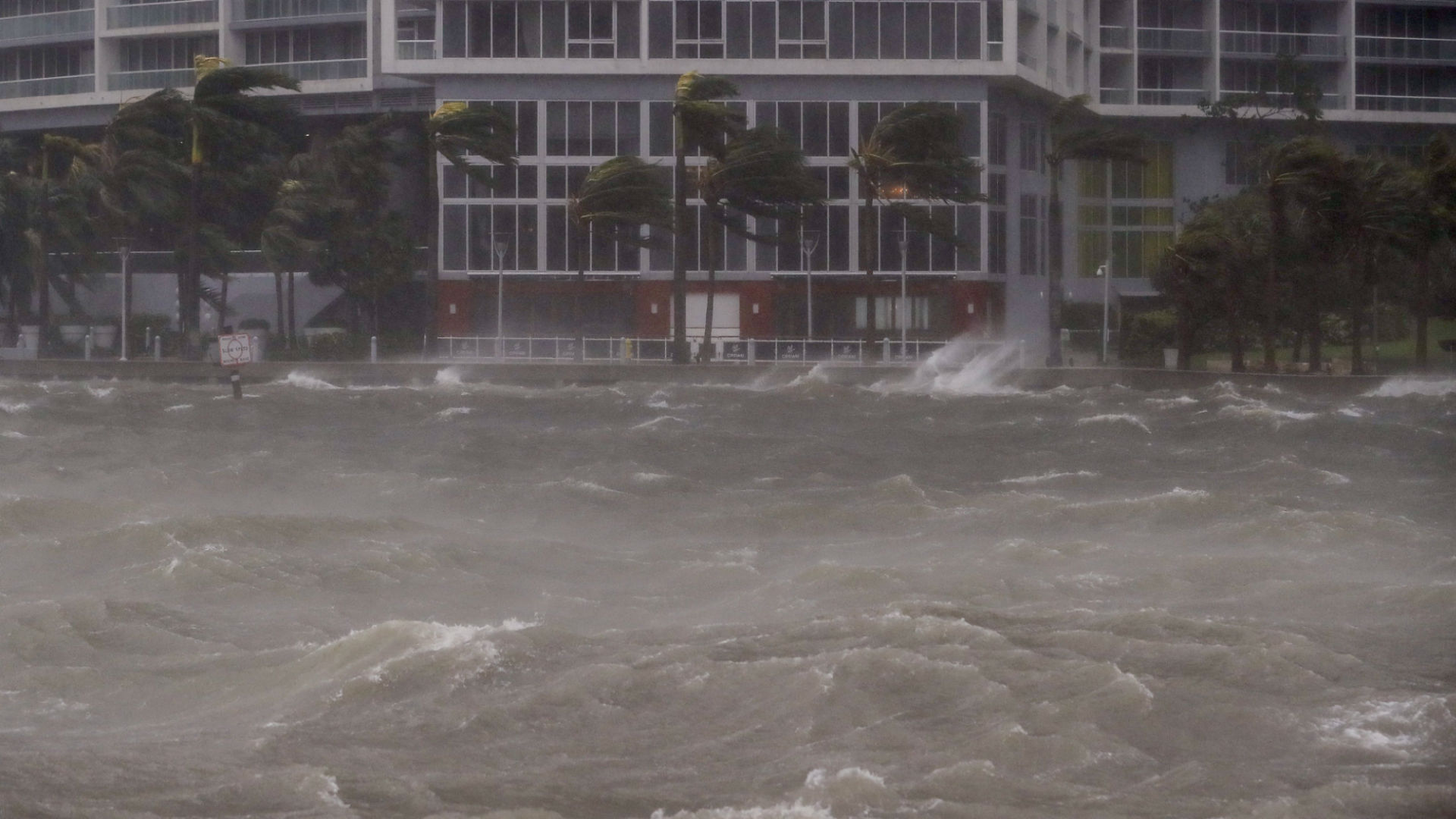 Irma en Miami 6