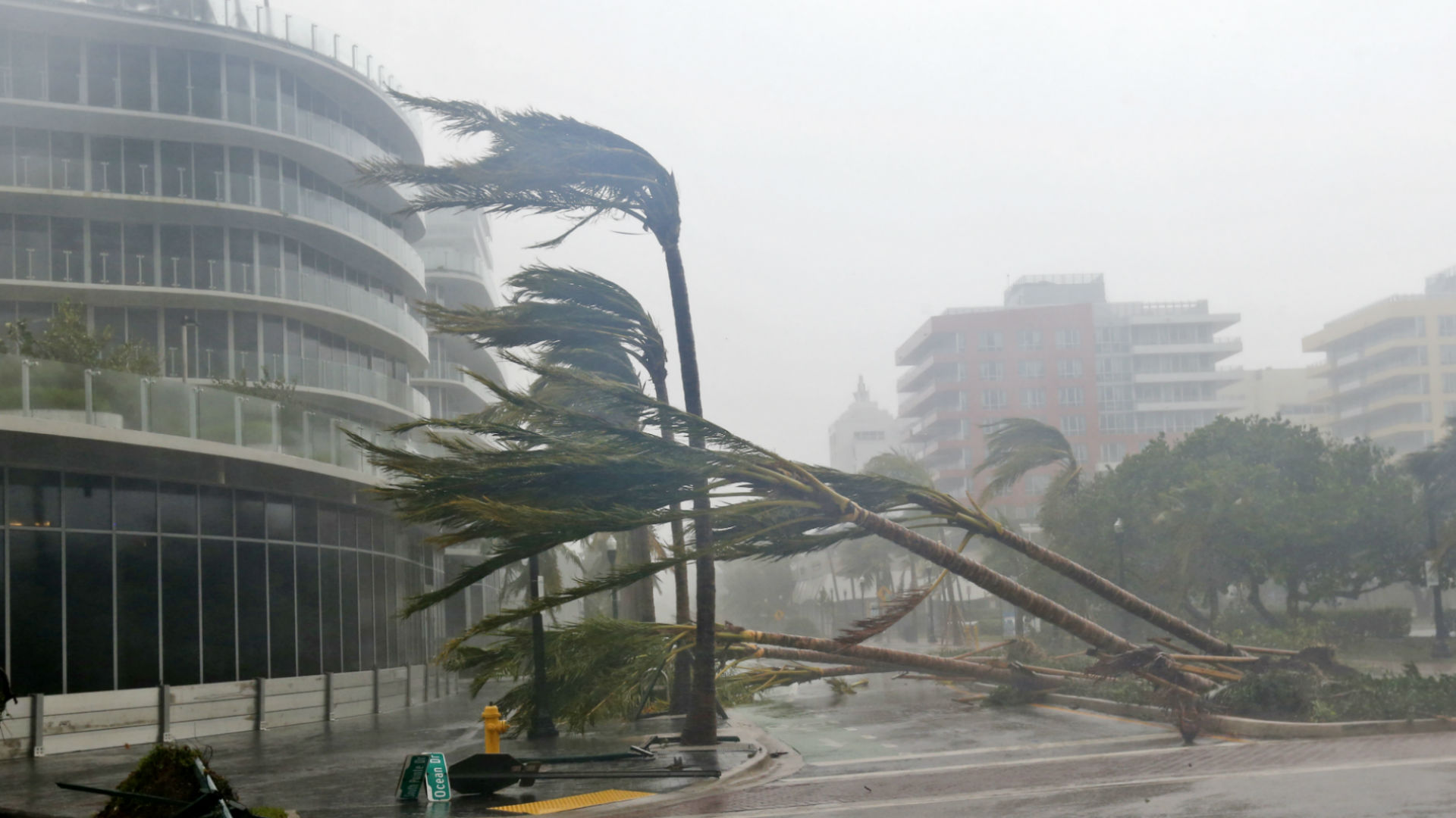Irma en Miami 9