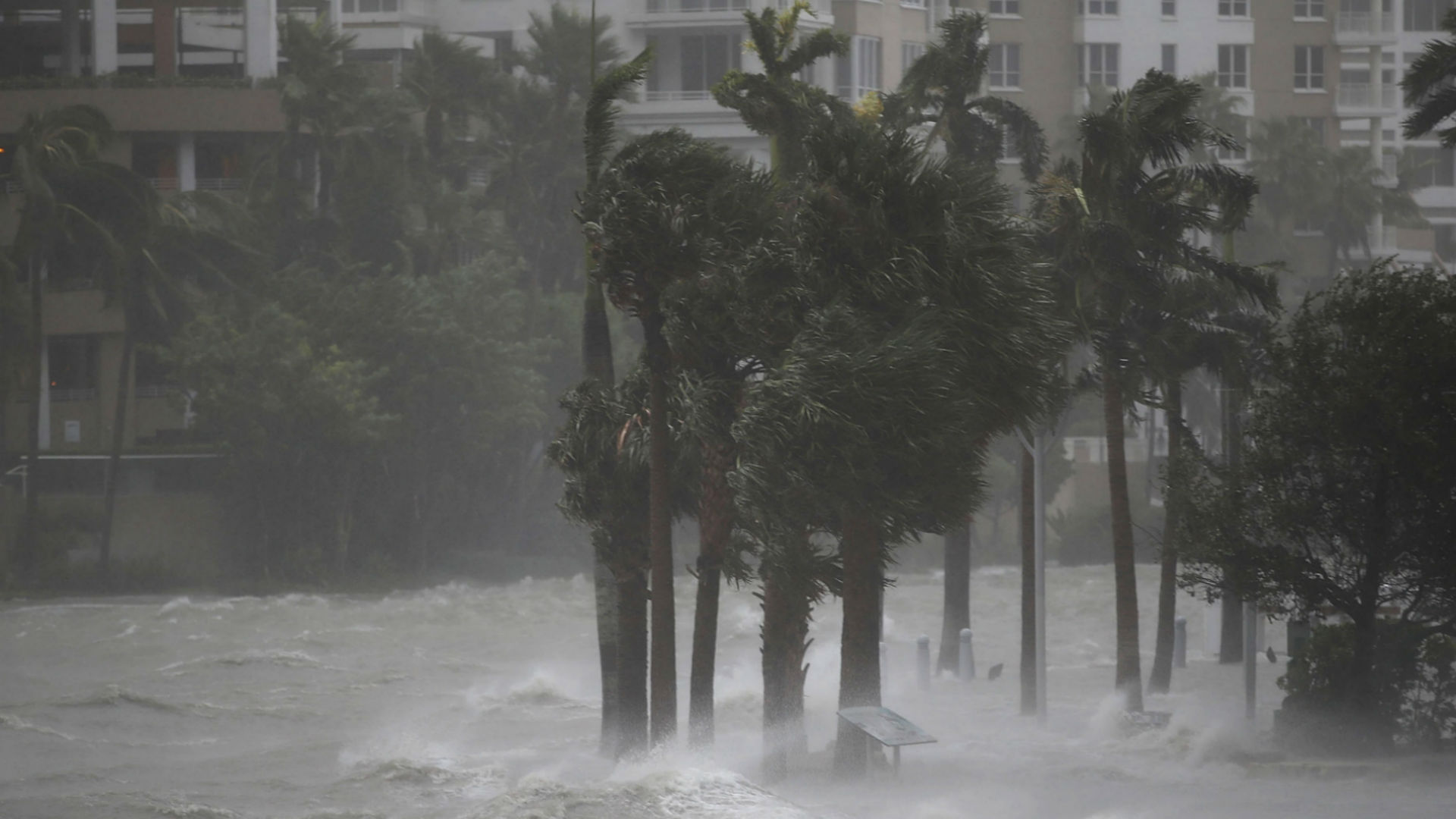 Irma en Miami