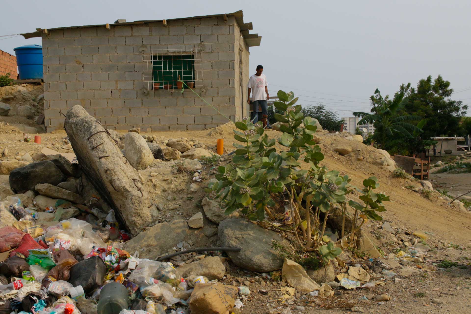 Escabiosis basura La Guaira Los Corales Vargas