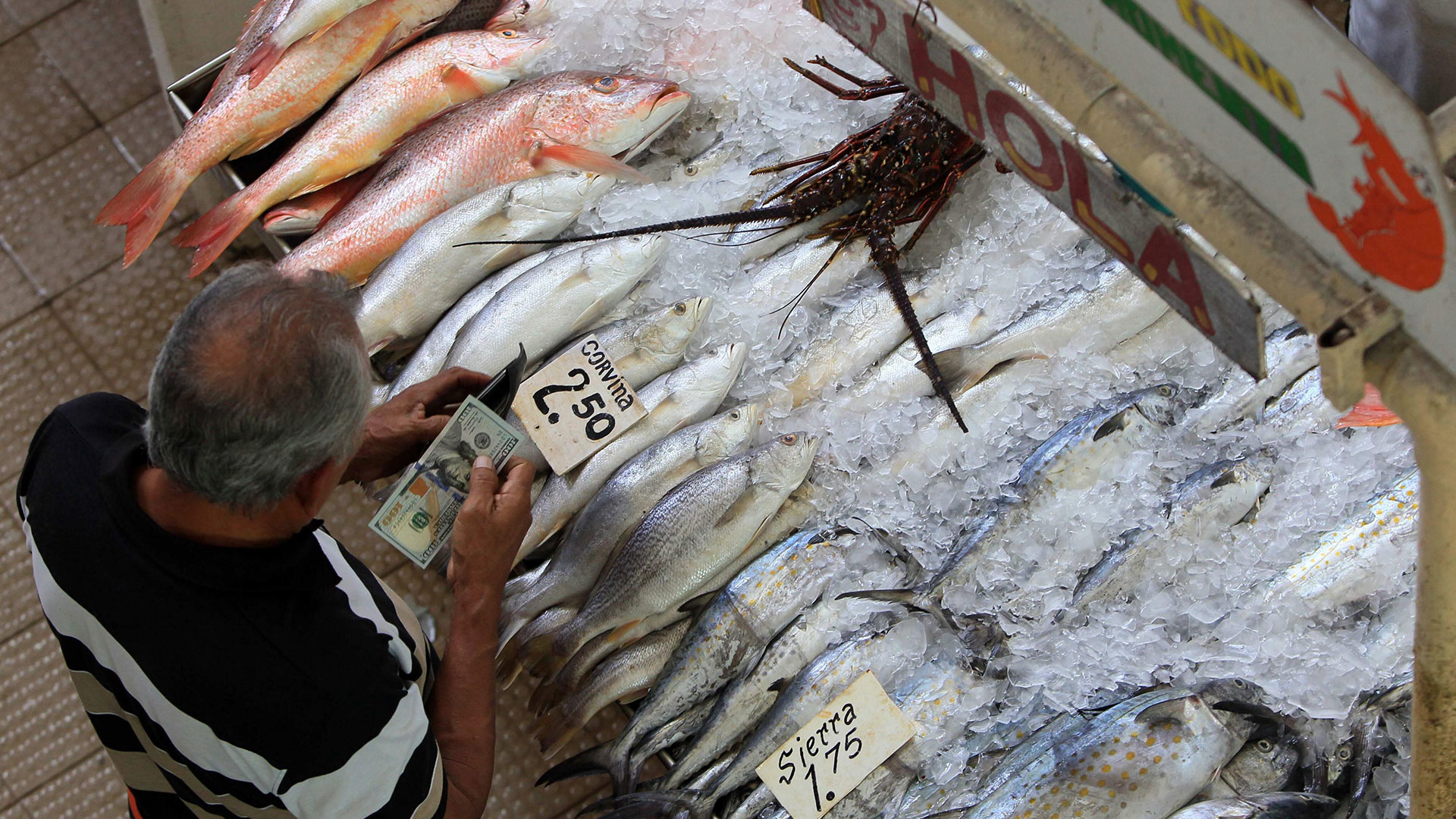 MERCADO DEL MARISCO, PANAMA