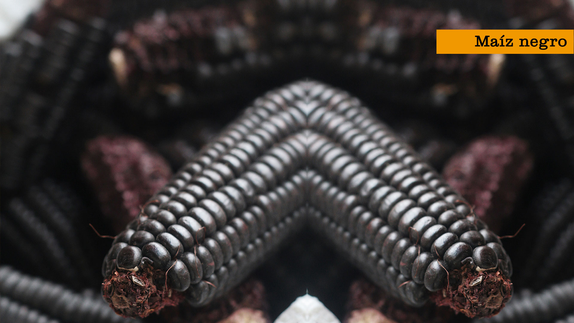 mercado peruano en caracas, maíz negro, cocina peruana, mercados libres