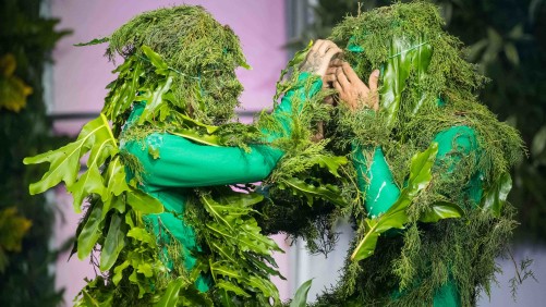 Certamen de belleza Miss Venezuela 2019