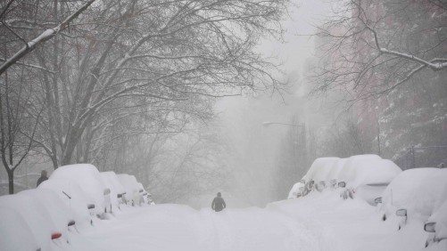 Nieve