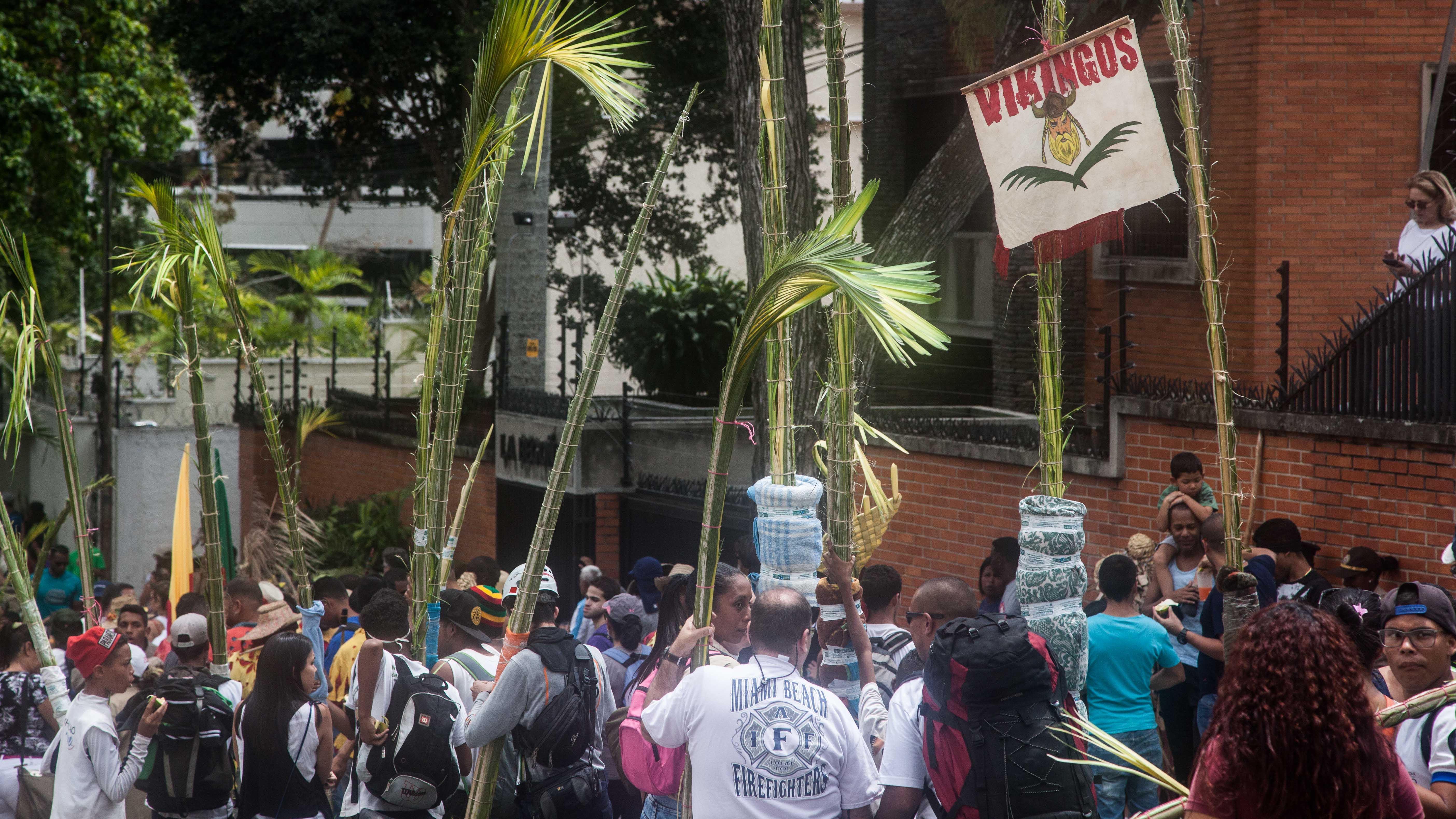 Palmeros de Chacao -10