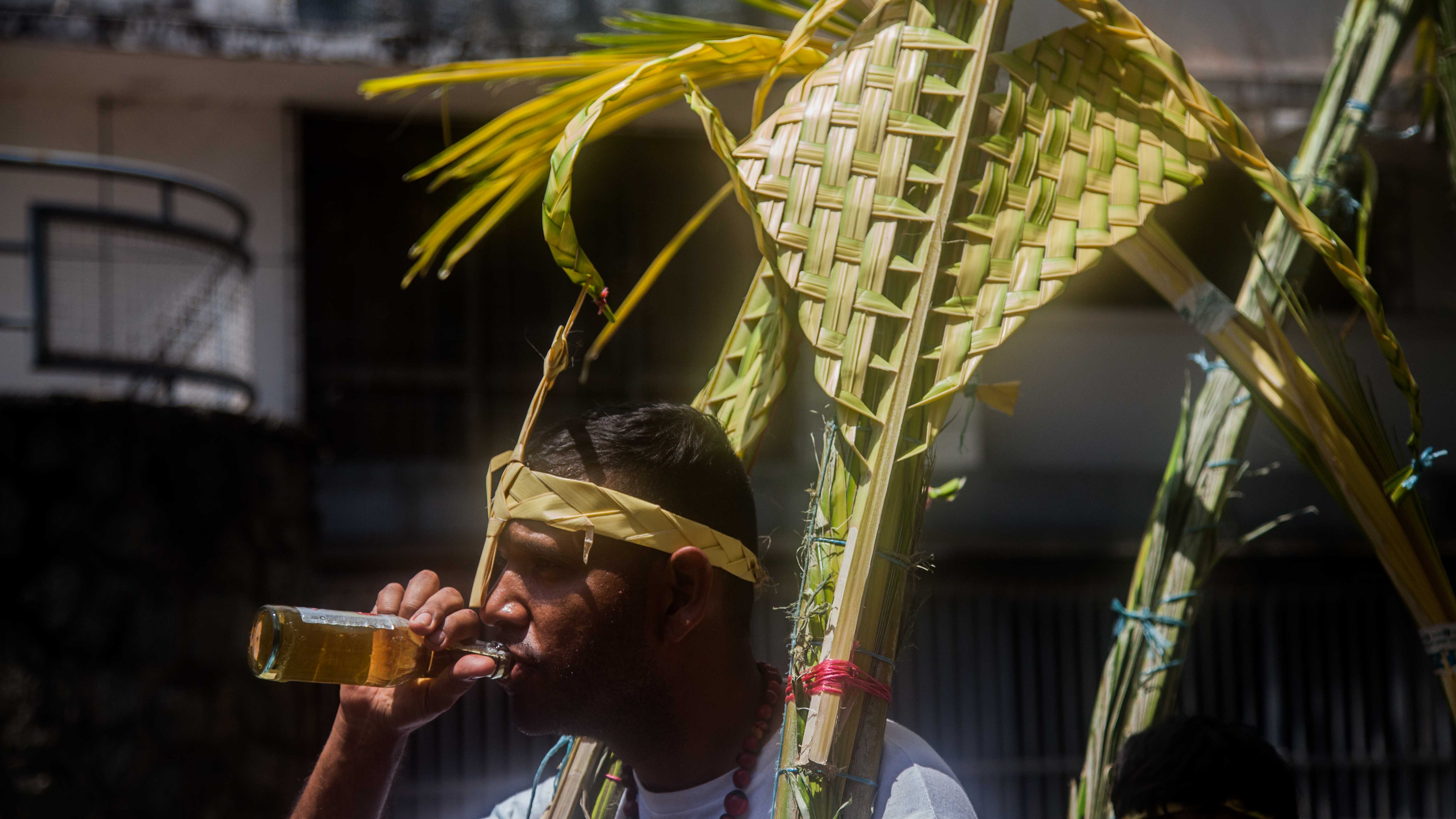 Palmeros de Chacao -15