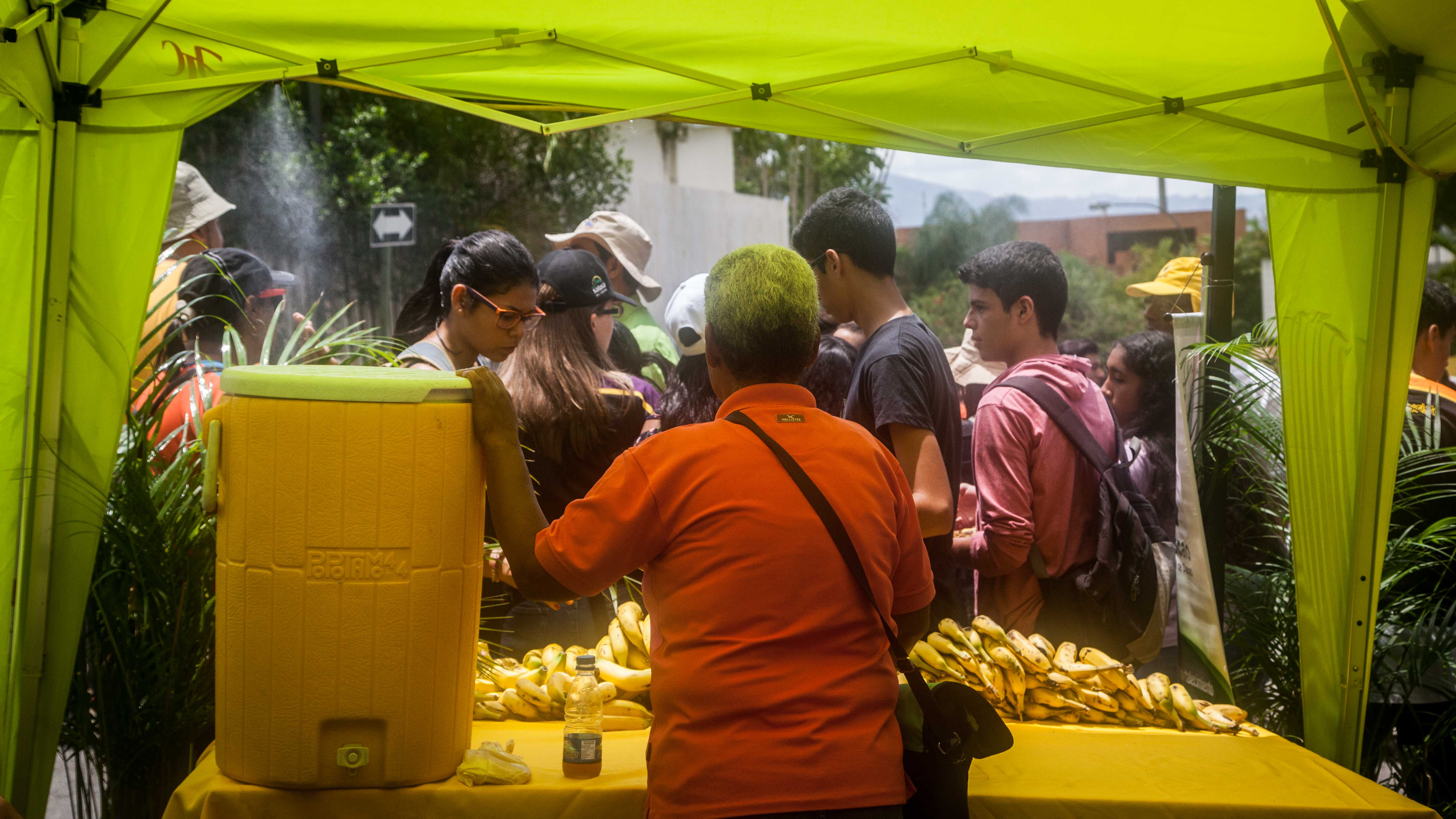 Palmeros de Chacao -4