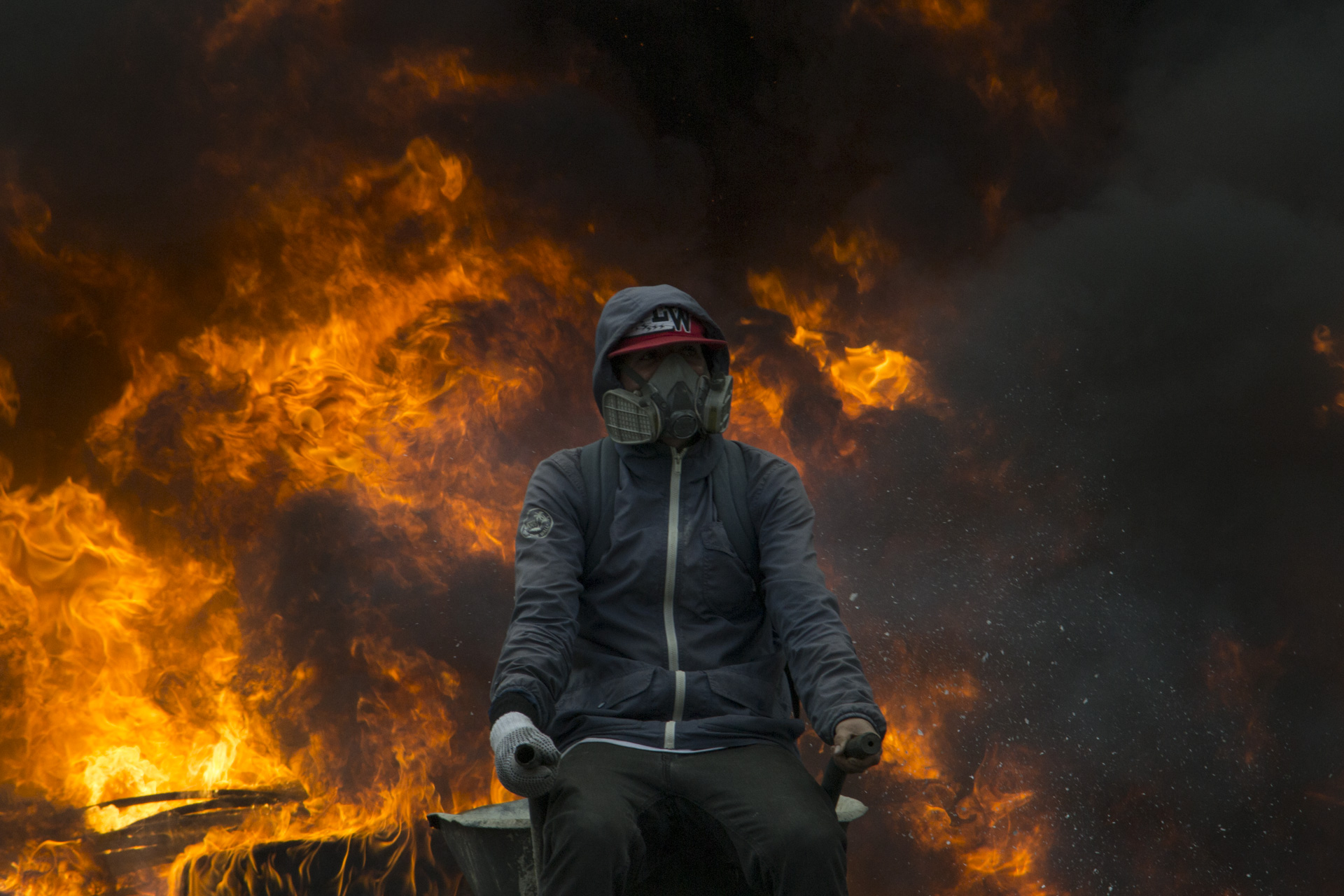 Planton Gustavo vera