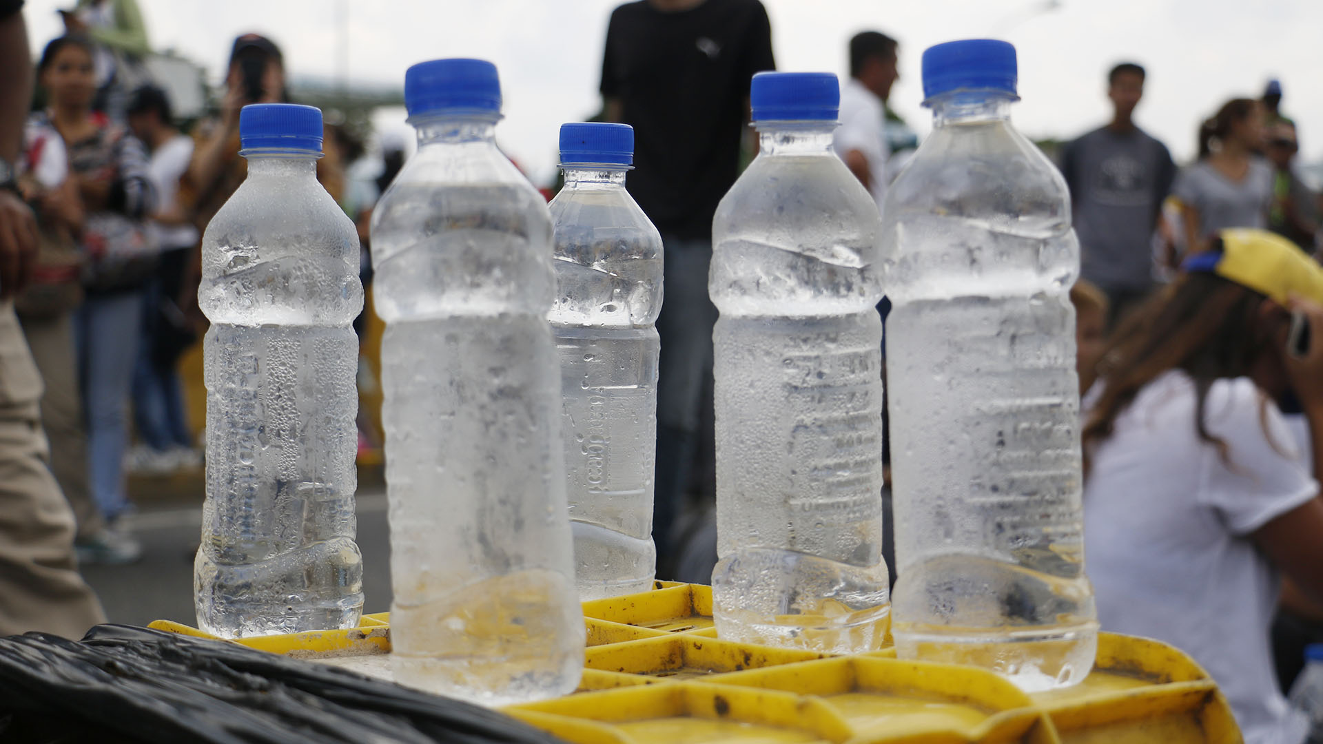 Planton Pedro Agranitis