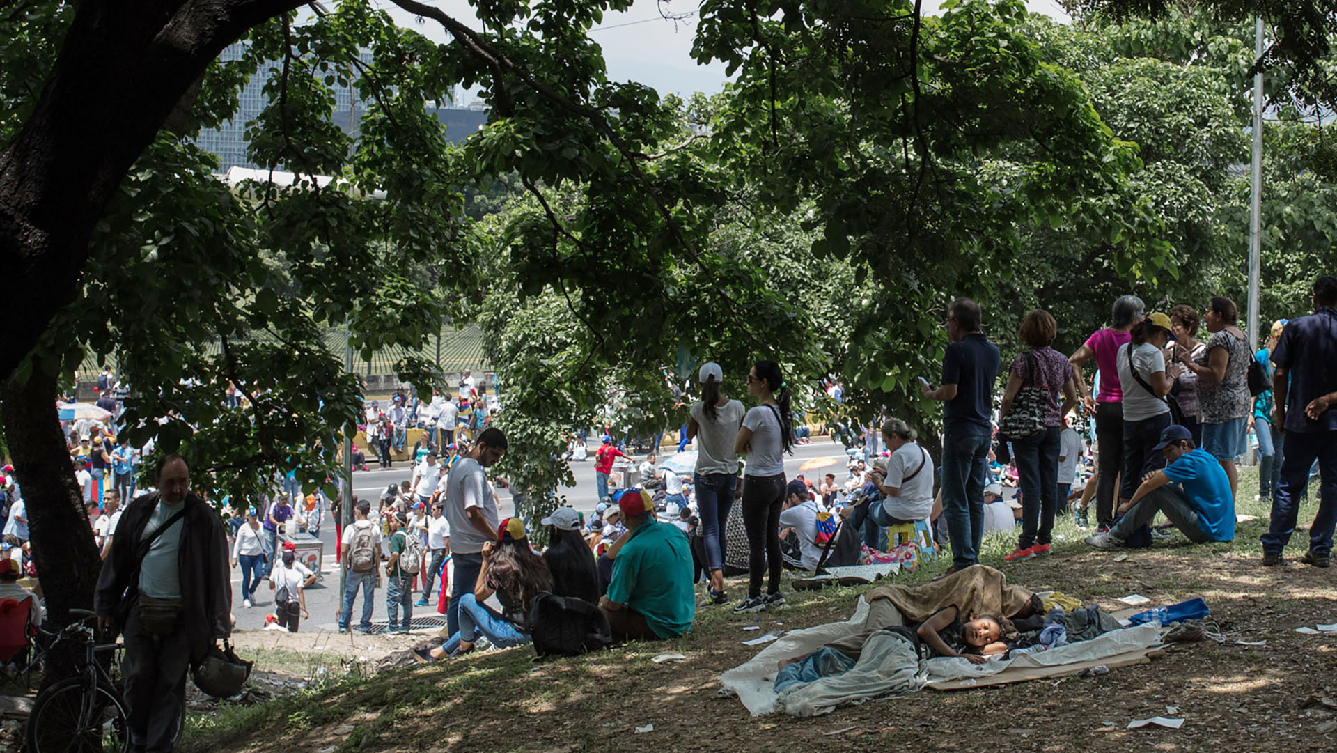 Planton Andrea Hernandez