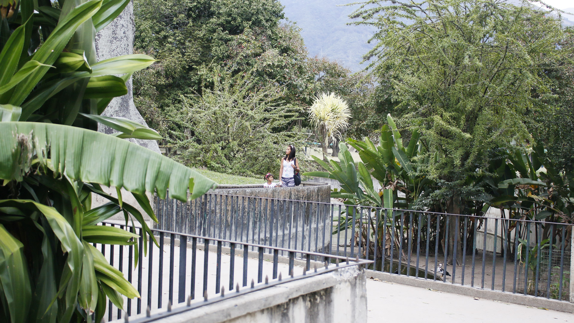 Parque del Este.17.11.2017Fotografia: Dagne Cobo Buschbeck.