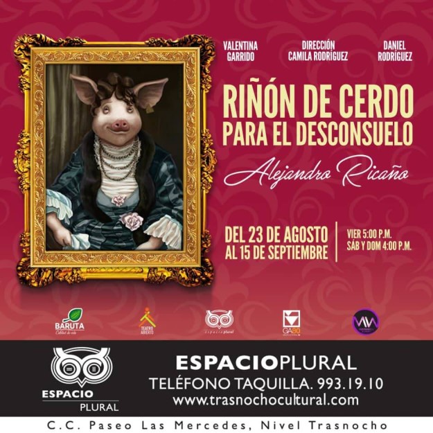 Promo-Riñon-de-cerdo-2