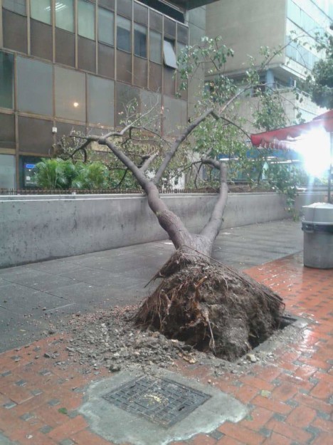 WhatsApp Image 2018-06-13 at 7.06.55 PM