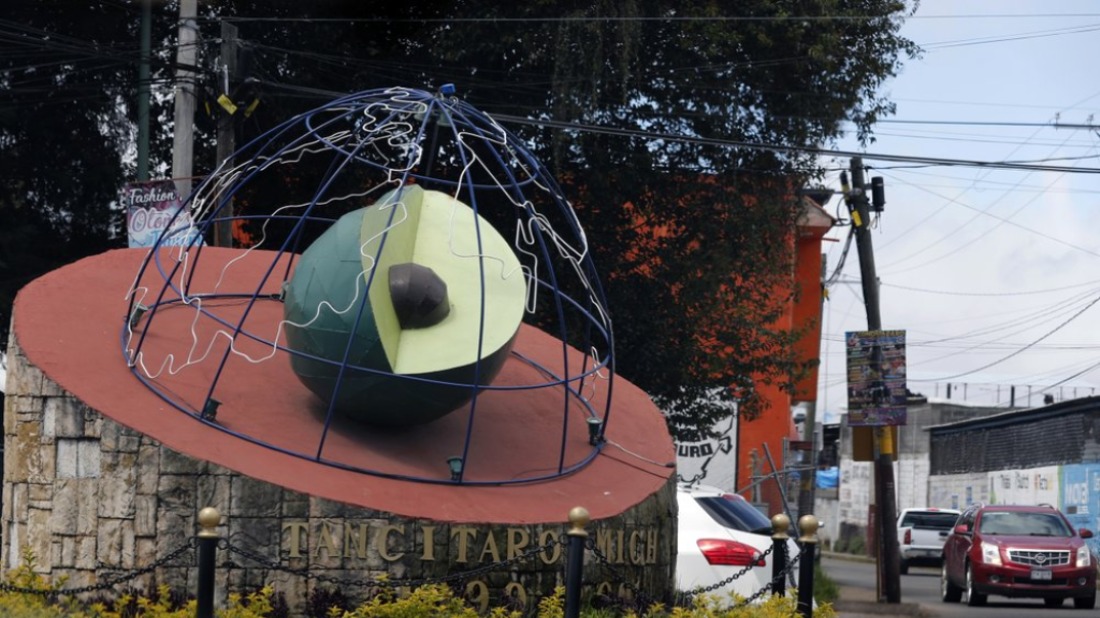 aguacate3