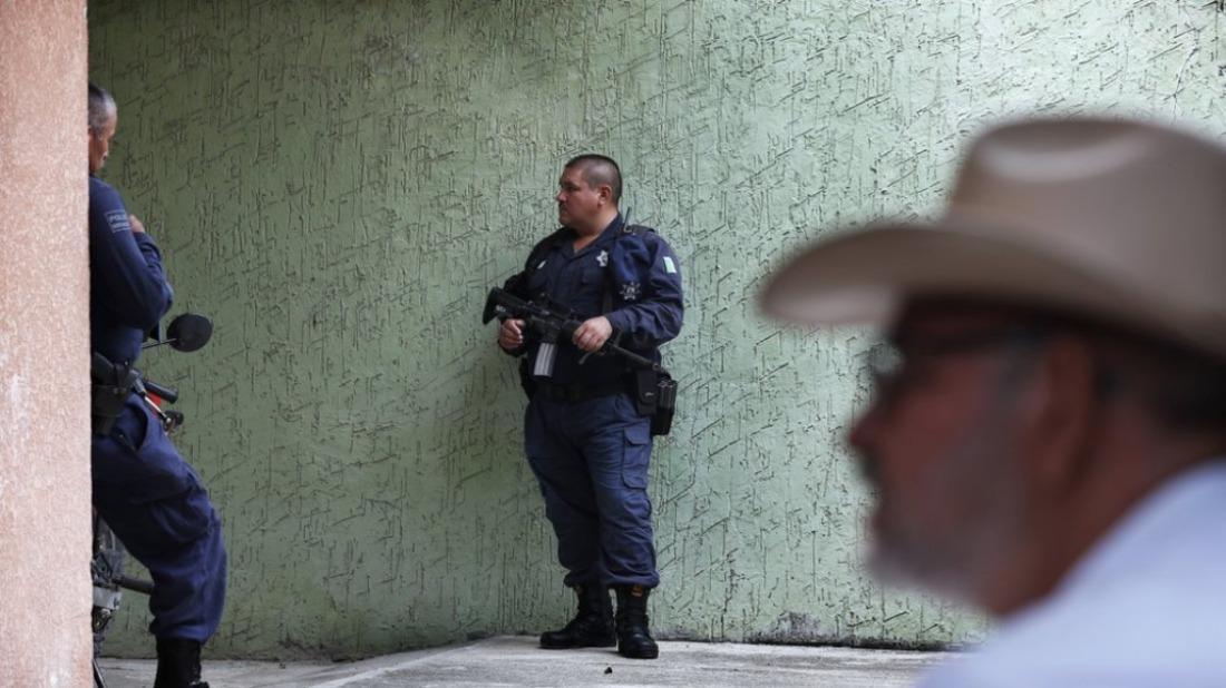 aguacate6