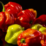 ¿Cuáles son los 10 productos con IGP en Venezuela?