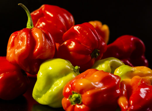 ¿Cuáles son los 10 productos con IGP en Venezuela?