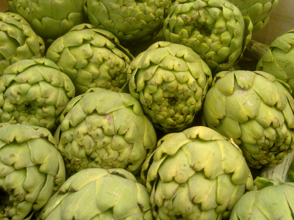 alcachofa