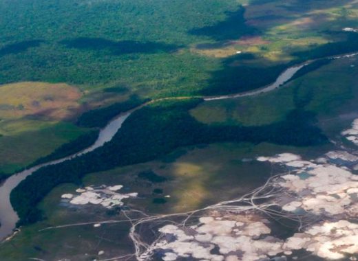 venezuela diversidad biológica