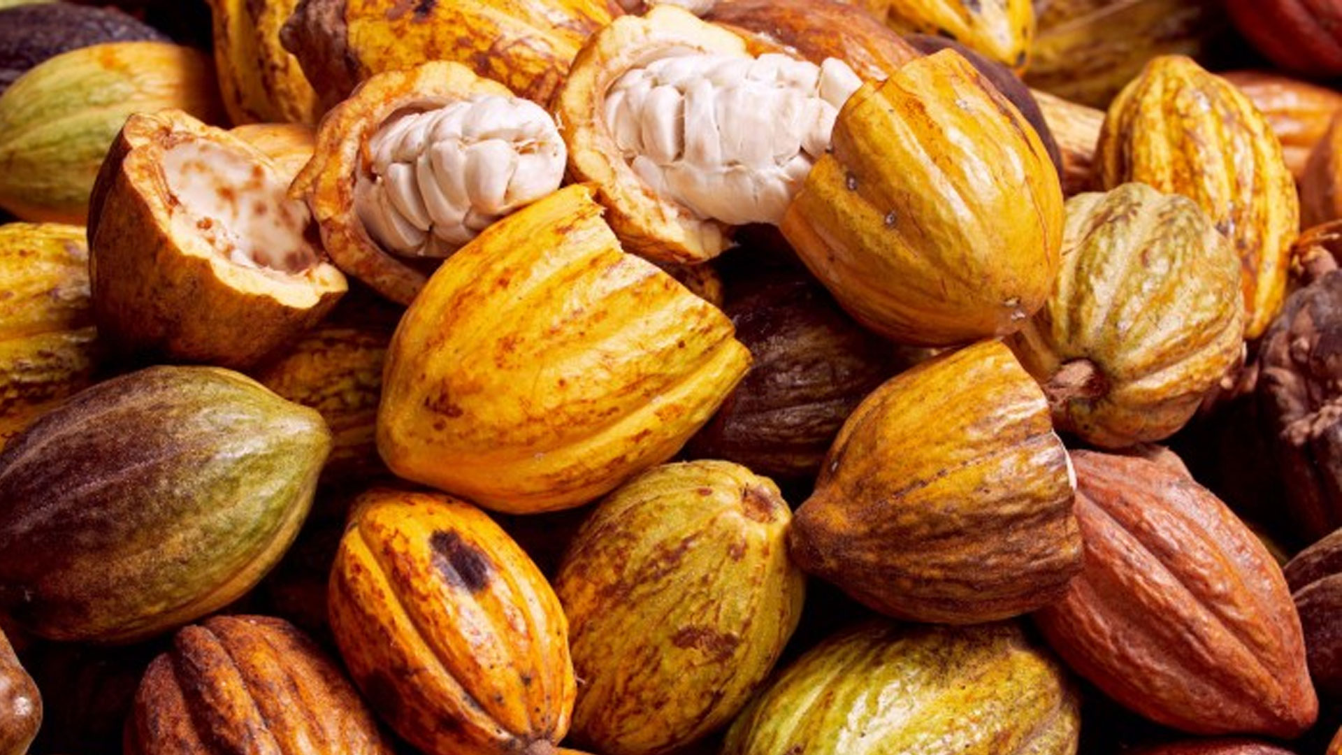 cacao-bienmesabe
