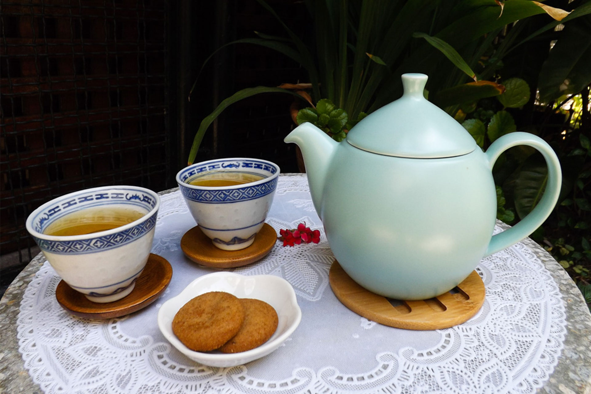 caracas-tea-company-2