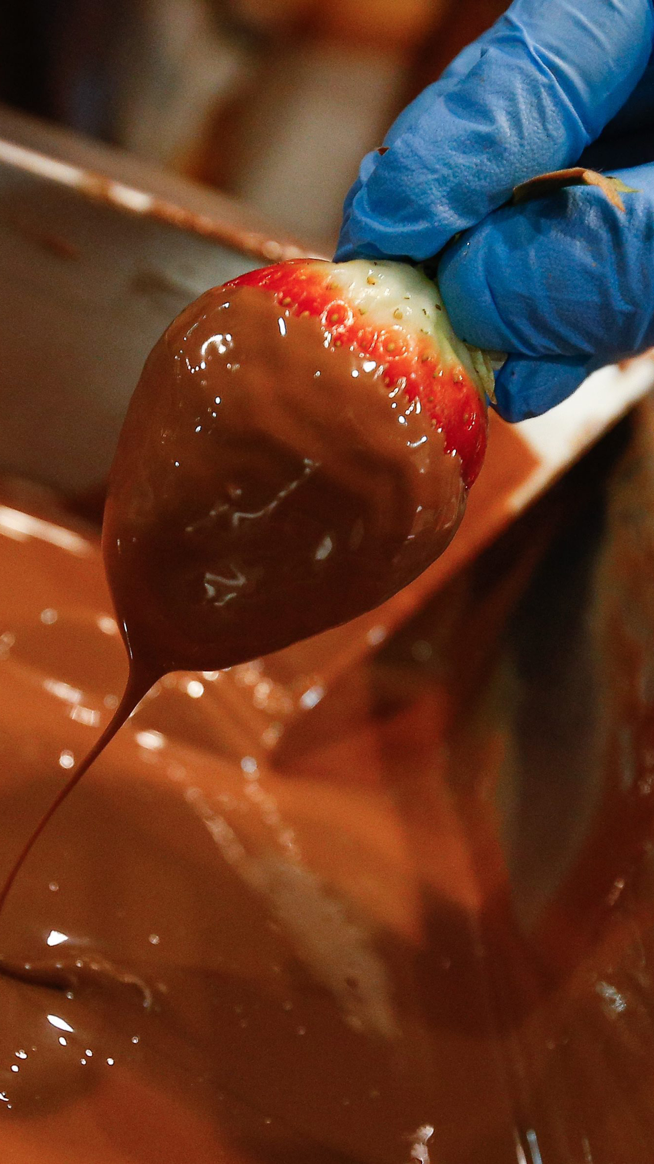 Chocolate fair opens in Brussels