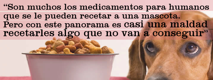 citaperro1