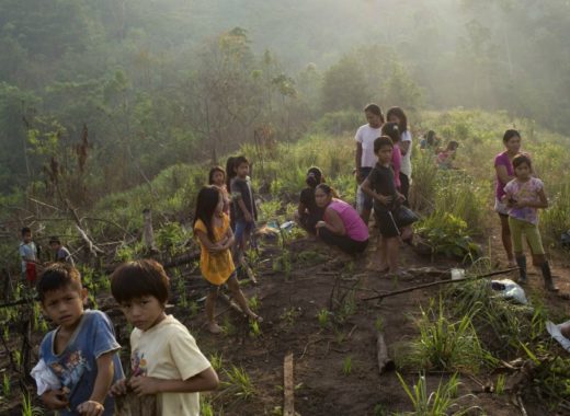 Cocaína negocio en baja
