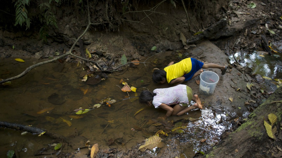 Dos niños beben de un río en una comunidad remota de Perú donde se trabaja para erradicar la producción de cocaína. Foto por Rodrigo Abd.