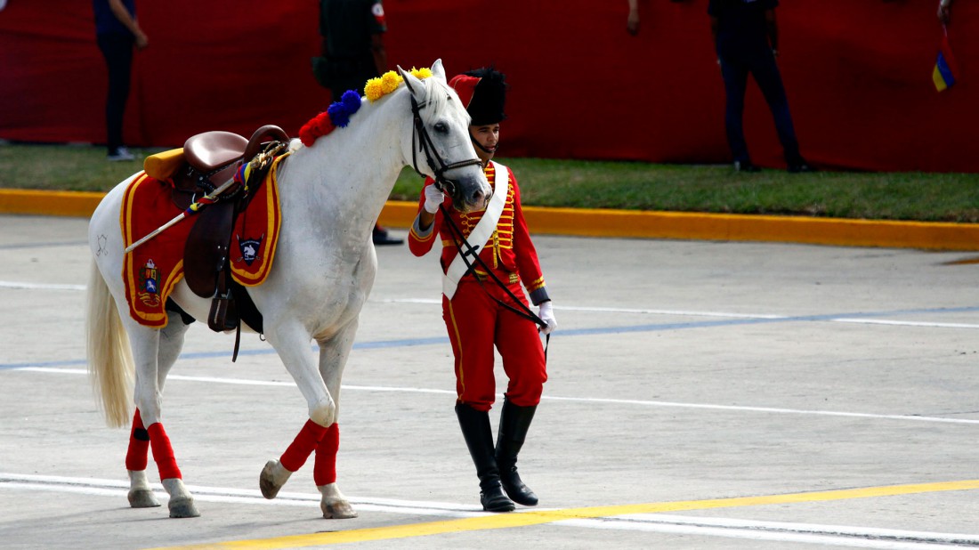 desfile-6