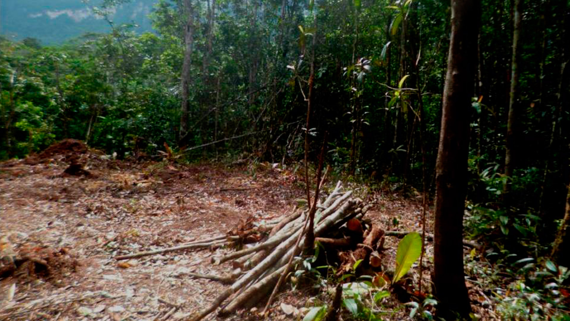 fotos-Asociación-de-Operadores-Turísticos-de-Canaima-Clímax