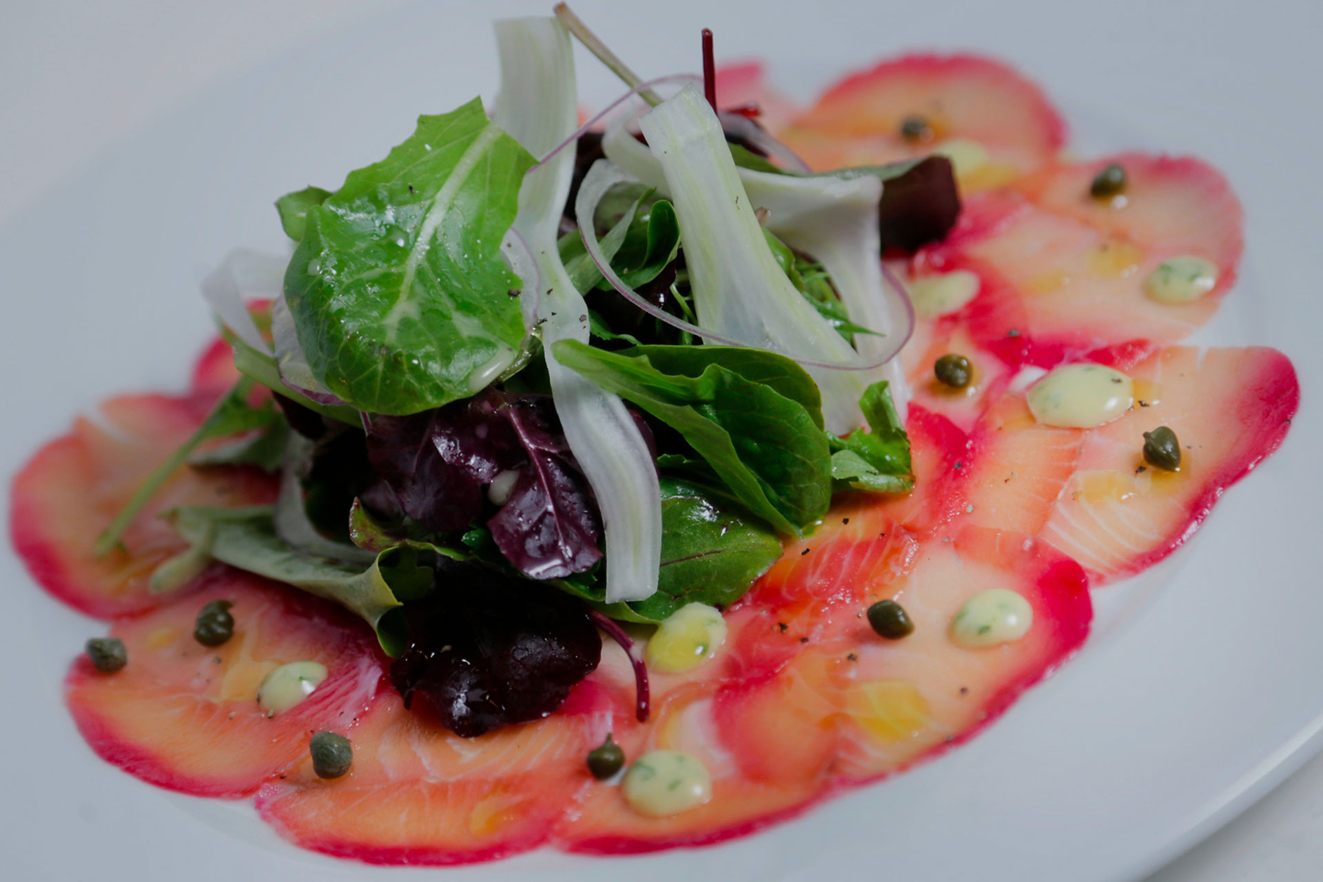 la fontana ristorante, miami, doral, cocina italiana, jose luis saume
