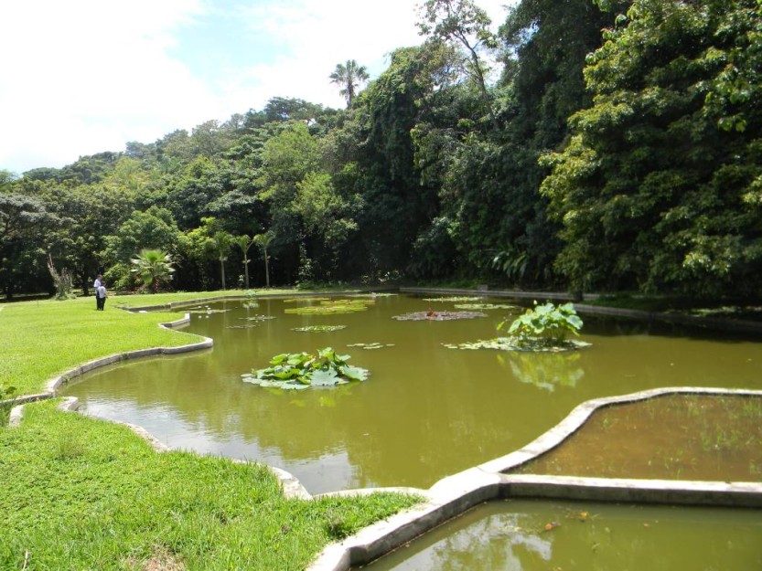 laguna_con_forma_mapa_gde (1)