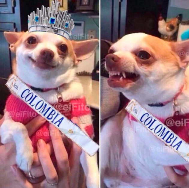 meme-7