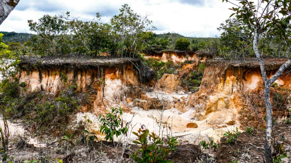 Mina de oro y diamantes en Bajo Paují; locales explican que es casi imposible reforestar esa área