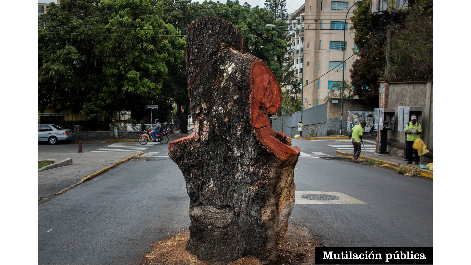 mutilacionpublica