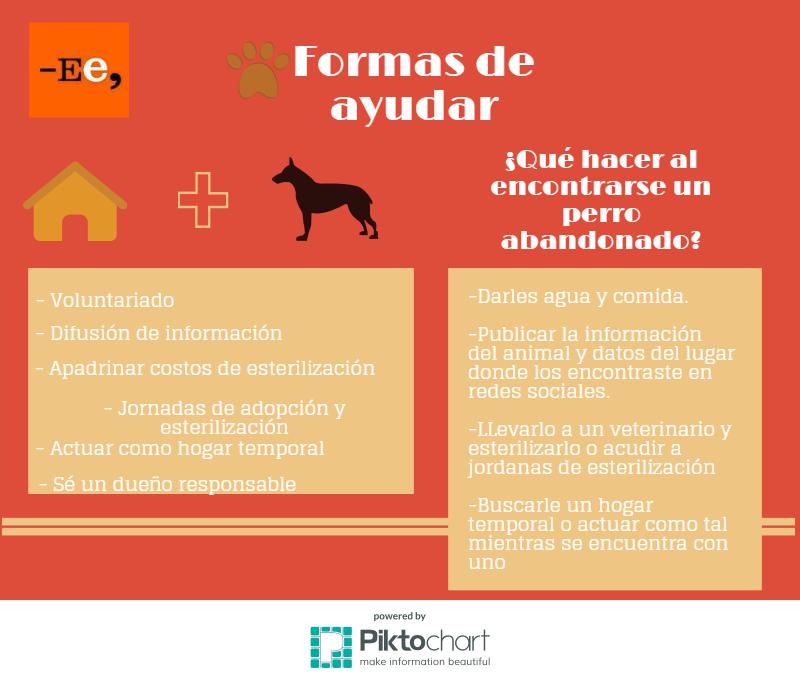 perros-abandonados-conflict-copy