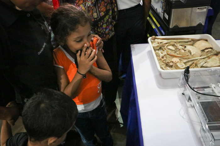 Expo Criminalística