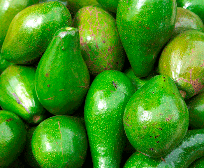 aguacate región central