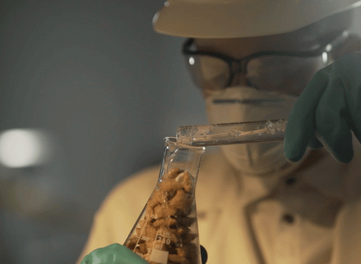 flips de chocoavellanas