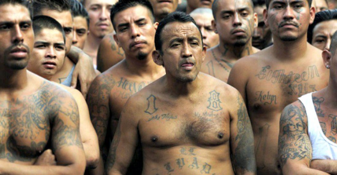 Mara Salvatrucha MS13