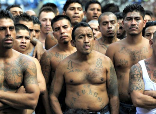Mara Salvatrucha MS13