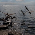 Petróleo en Lago de Maracaibo