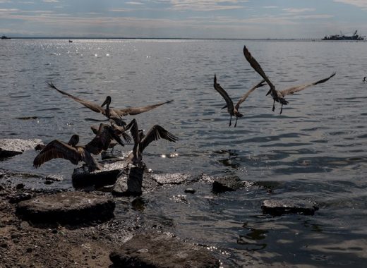 Petróleo en Lago de Maracaibo