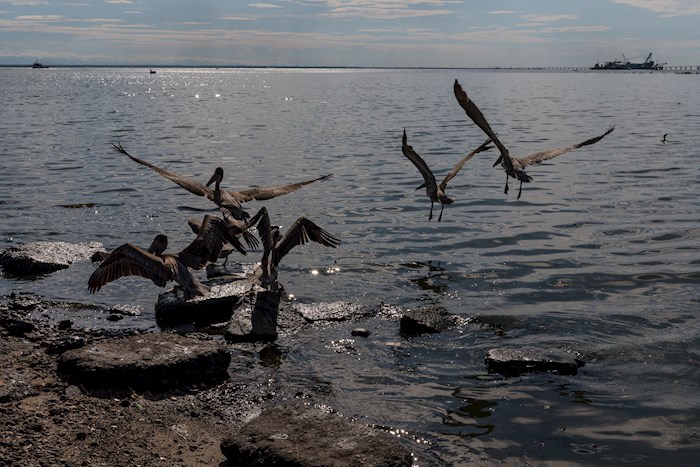Petróleo en Lago de Maracaibo