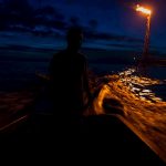 Especies foráneas en el Lago de Maracaibo