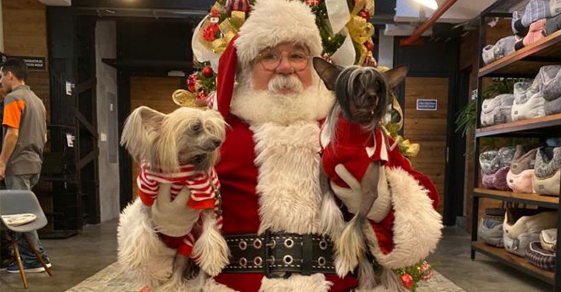 Maxipet Santa