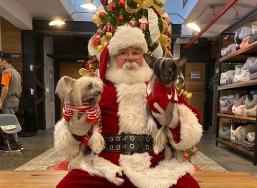 Maxipet Santa