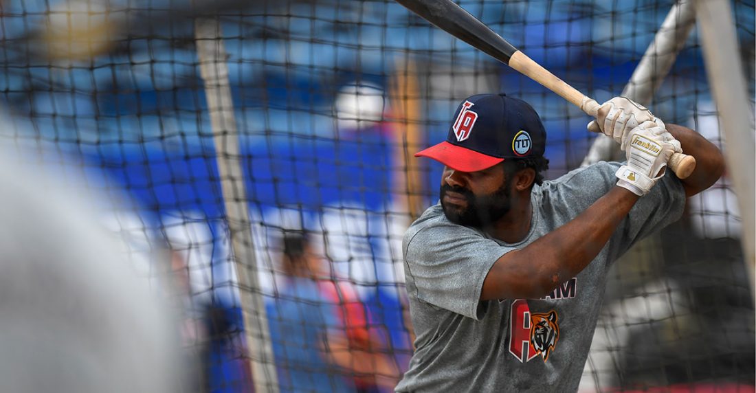 béisbol venezolano - Tigres de Aragua